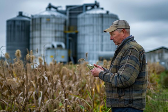 Care este istoricul utilizării îngrășămintelor chimice în agricultură? Care este istoricul utilizării îngrășămintelor chimice în agricultură?