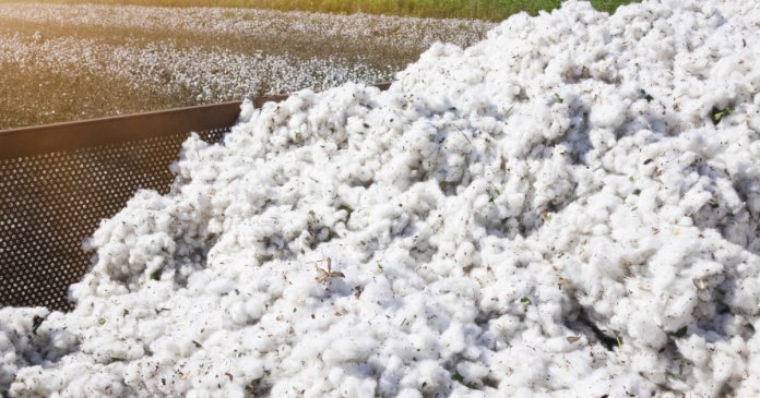 Guvernul va achita o obligație de peste 30 de ani față de SUA, referitoare la un împrumut pentru importul de bumbac. Guvernul va achita o obligație de peste 30 de ani față de SUA, referitoare la un împrumut pentru importul de bumbac.