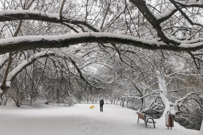 Ninsori, vânt și frig în București: Alertă meteorologică emisă în timpul nopții Ninsori, vânt și frig în București: Alertă meteorologică emisă în timpul nopții