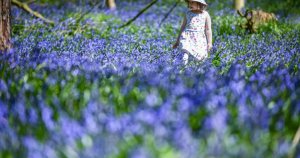 Prognoza vremii pentru următoarele 4 săptămâni: temperaturi mai ridicate decât de obicei, conform specialiștilor în meteorologie. Prognoza vremii pentru următoarele 4 săptămâni: temperaturi mai ridicate decât de obicei, conform specialiștilor în meteorologie.