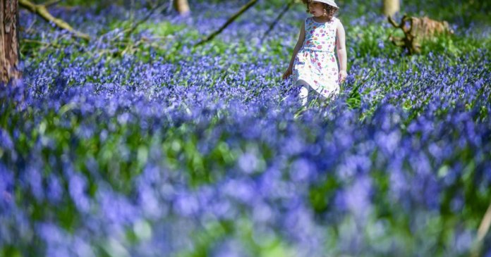 Prognoza vremii pentru următoarele 4 săptămâni: temperaturi mai ridicate decât de obicei, conform specialiștilor în meteorologie. Prognoza vremii pentru următoarele 4 săptămâni: temperaturi mai ridicate decât de obicei, conform specialiștilor în meteorologie.
