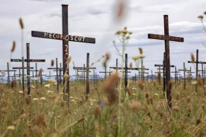 Cimitirul celor neștiuți din Dumbrava Cimitirul celor neștiuți din Dumbrava. Viorel Pașca: „Toți, fără a ține cont de religie, au cruce identică”